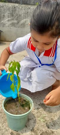 WORLD ENVIRONMENT DAY3